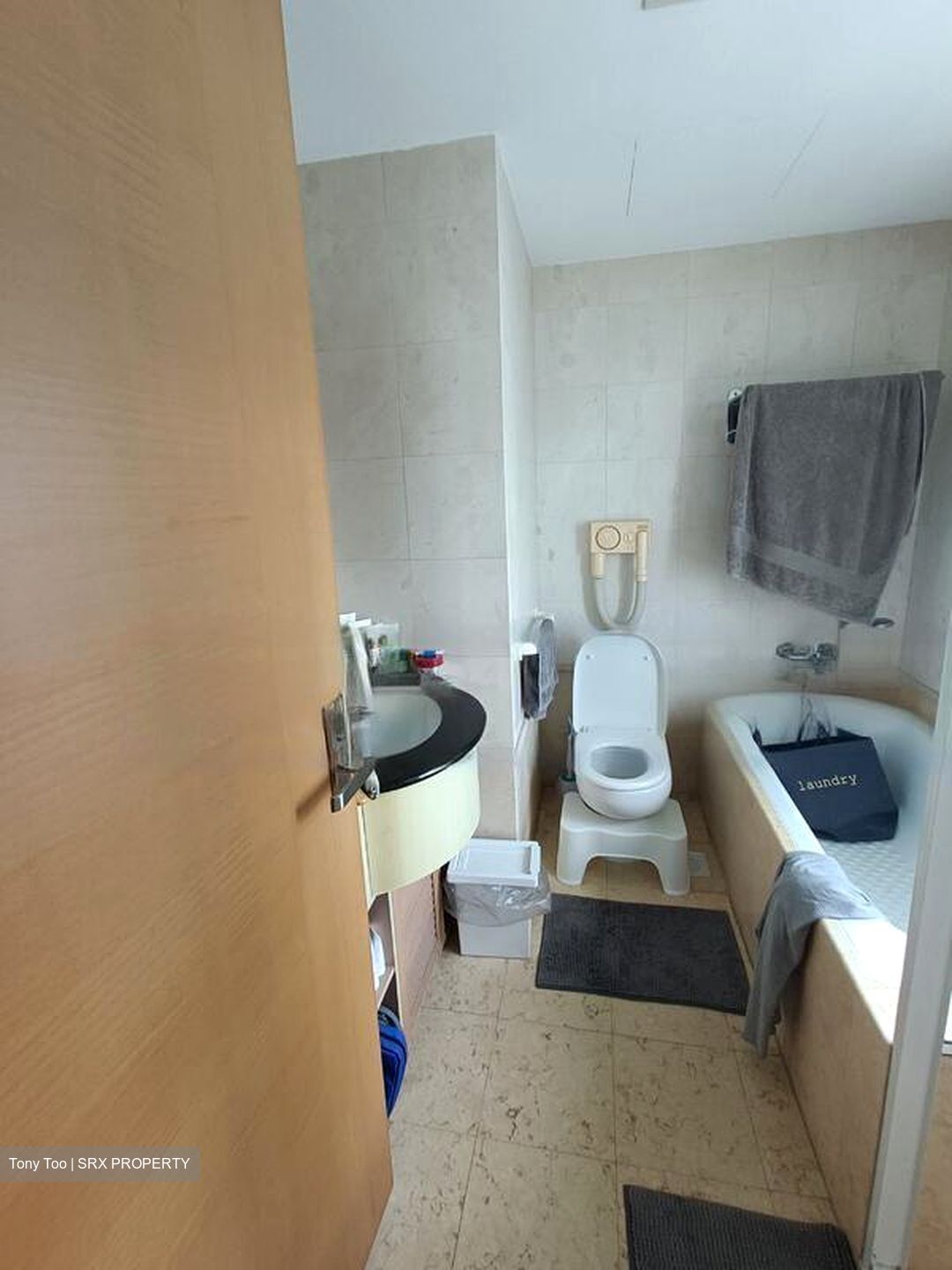 Queens (D3), Condominium #430482801